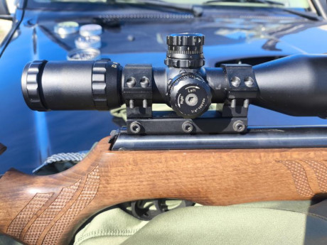 Hola a todos!

Tengo una Fenix 400 compact con un visor Leapers utg 3-12x44,montado con una montura monopieza.

La 00