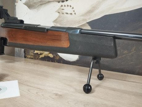 Buenas noches,  
Feinwerkbau 300 S  Universal zurda , la carabina se encuentra en muy buen estado con 50