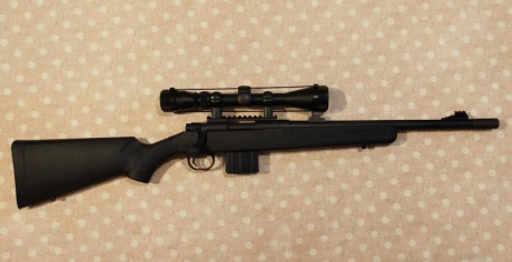 Buenas noches: Rifle, visor, dos cargadores, dos bocachas, impecable, 800€ más gastos de envío. IMG_20241012_181927~2.jpg 00