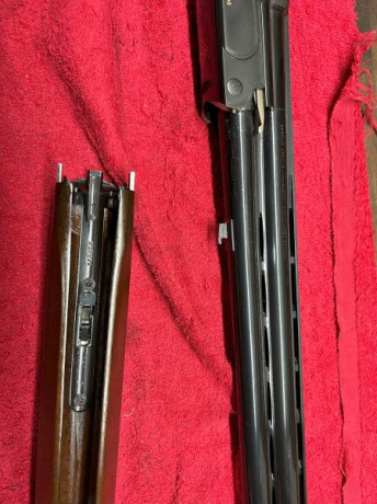 Escopeta ZOLI KRONOS cal 12/76 en perfecto estado, sin apenas uso, doble banda ventilada, gatillo regulable, 01