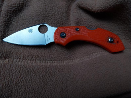 Vendo esta pieza que siendo clon/réplica de Spyderco está muy bien hecha y con ajustes más que correctos.

20 00