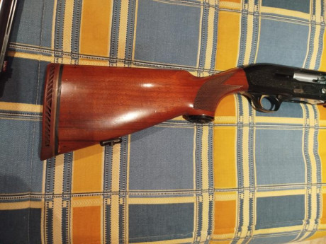 Vendo Beretta repetidora cañón de 71 y ** fijas 
Por exceso de armas .....la escopeta está impecable tanto 01