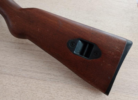Vendo carabina semiautomática Wells calibre 22 LR. No la utilizo. Buen estado general pero con algunas 01