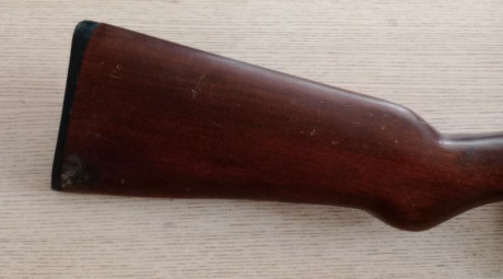 Vendo carabina semiautomática Wells calibre 22 LR. No la utilizo. Buen estado general pero con algunas 21