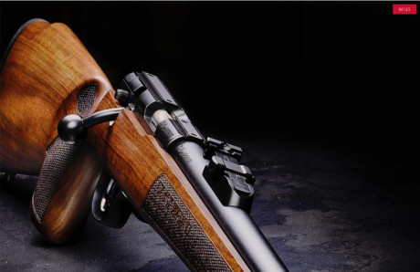 Buenas, hace poco saque las licencias y me estoy mirando una carabina calibre 22LR, la guiare en E. La 30