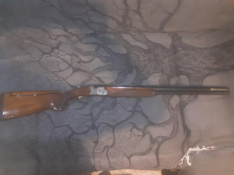 Cambio Tikka T3 CTR en con las siguiente características:

- Calibre 6,5 creedmoor
- Disparador regulable 10