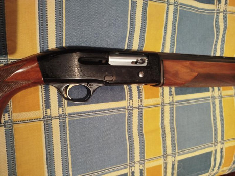 Por exceso de armas vendo Beretta 302 con Dos ** fijas
La escopeta está impoluta se puede ver y probar
Precio 01