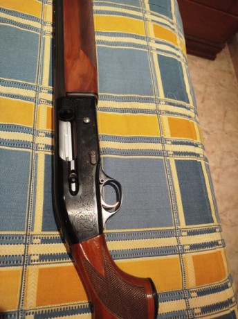 Por exceso de armas vendo Beretta 302 con Dos ** fijas
La escopeta está impoluta se puede ver y probar
Precio 00