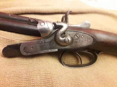 Se vende escopeta paralela del calibre 20 marca J,J Sarasqueta. en perfecto estado de uso, se ha estado 20