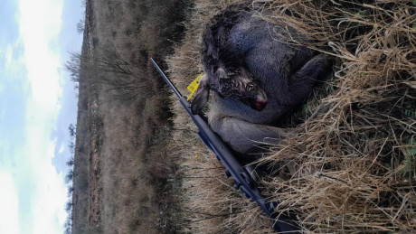  VENDIDO 

Rifle  Marlin X7  en  calibre 7mm-08 Remington
 
Se incluye:
Visor Bushnell 2'5-15x50.
Bipode 100