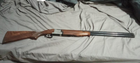 Buenas Noches Compro escopeta Superpuesta Monogatillo, con chokes fijos o Polichoques, me importa poco 12