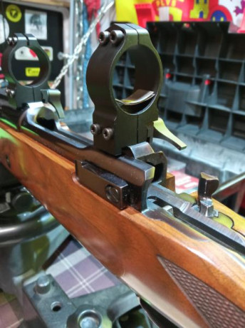 Buenas noches, acabo de estrenar una carabina ISSC MRS MK22, con un visor Bushnell Tropy 6-18x50, que 110
