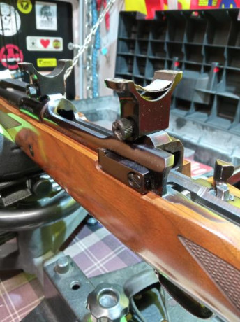 Buenas noches, acabo de estrenar una carabina ISSC MRS MK22, con un visor Bushnell Tropy 6-18x50, que 121