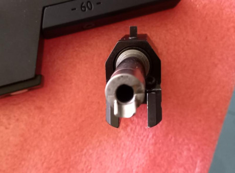 Buenos días
Vendo muy barata pistola Tesro TS22-2, en muy buen estado, cacha talla M. Tiene el contrapeso 42