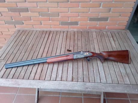 Se vende Francisco Sarriugarte excelsior kemen impecable 71cm 3 y 1 37 cm de culata.

1200 euros 

615659980 01