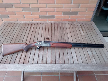 Se vende Francisco Sarriugarte excelsior kemen impecable 71cm 3 y 1 37 cm de culata.

1200 euros 

615659980 00