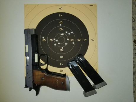 Vendo Pistola 9mm/pb, marca SIG SAUER, modelo P226S. El arma se encuentra en buen estado. Se vende por 00