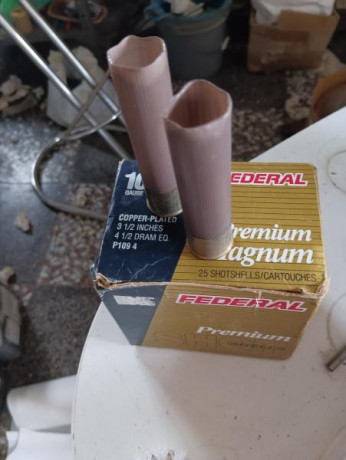 Vendo vainas usadas americanas Federal de cartuchos de escopeta 10/89 a 1€ por unidad más gastos de envío, 00