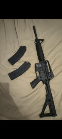 Vendo Carabina táctica Chiappa MFour original, es una chica de barrio, come de todo, desde el .22lr CCI 11