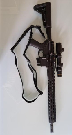 2.500 euros (incluidos más de 1.000 en extras).

Hola, vendo AR-15 Barrett Rec7 DI del calibre 6.8 SPC. 10