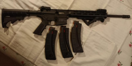 Vendo carabina Smith & Wesson M P15 Sport.
Pocos disparos, en perfecto estado. Disparador afinado.
Lleva 02