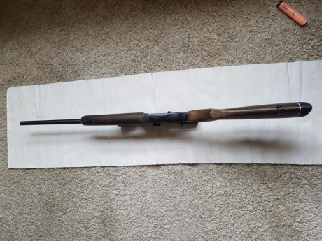 Monotiro Amadeo Rossi calibre 30-06 visor bhusnell trophy 3 a 9x40 ri dos colores, monturas desmontables, 21