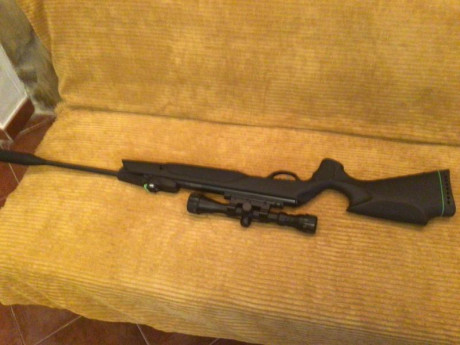 Hola,

Vendo Gamo Swarm Magnum Pro IGT gen3i en calibre 5,5, se podría decir que nueva, ya que la he usado 01