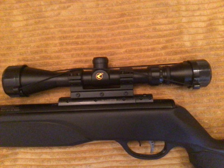 Hola,

Vendo Gamo Swarm Magnum Pro IGT gen3i en calibre 5,5, se podría decir que nueva, ya que la he usado 00