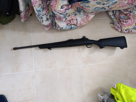 BUENAS TARDES A TODOS, POR EXCESO DE ARMAS QUIERO QUITARME ESTOS DOS RIFLES:

 RIFLE SAVAGE CAL 308  EL 12