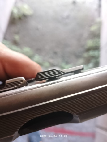 Hola amigos! ya que se muestran tantas armas buenas creo que a los propietarios de una cz 75 se nos tendría 100