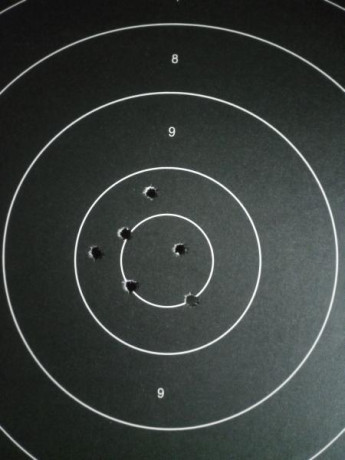 ¿Nos animamos a mostrar blancos de nuestros rifles de caza habituales? Con la munición que habitualmente 71