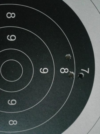¿Nos animamos a mostrar blancos de nuestros rifles de caza habituales? Con la munición que habitualmente 70