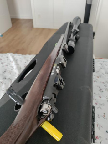 Hola amigos, estoy leyendo mucho pero por separado de nuestras queridas CZ | Brno del .22LR. Se podría 142