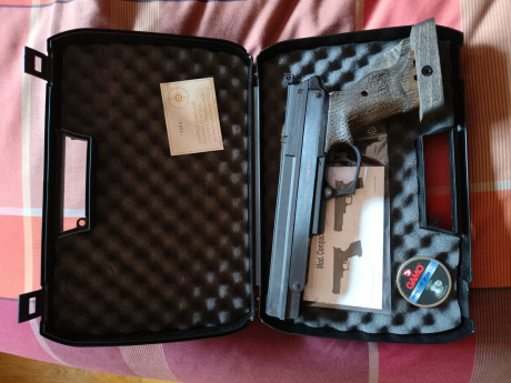 Hola, compro Gamo Compact. Si alguien tiene alguna que quiera vender... 21