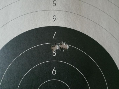 ¿Nos animamos a mostrar blancos de nuestros rifles de caza habituales? Con la munición que habitualmente 130
