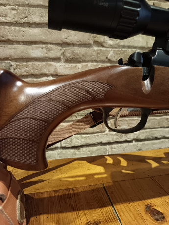 Impecable, comprado el 5/8/24 (demostrable). Garantía en vigor. 
Usada en galería en 4 ocasiones. 
Rodaje 00