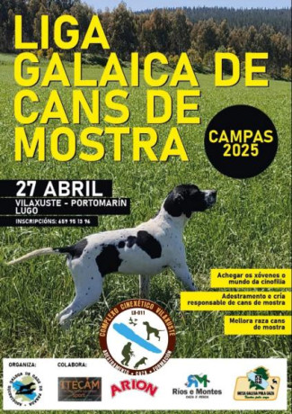 13 de Abril, Ferrol 10