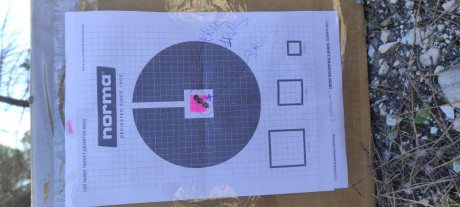 ¿Nos animamos a mostrar blancos de nuestros rifles de caza habituales? Con la munición que habitualmente 10