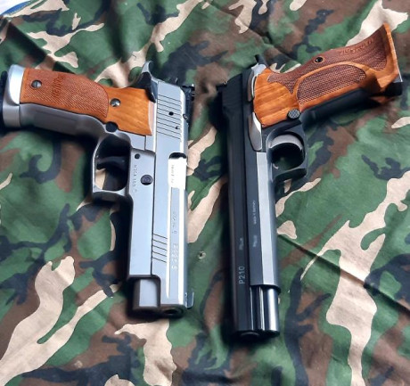 Buenas tardes. Esto mirando para comprar una pistola para precisión 9mm y la verdad es que no tengo claro 10