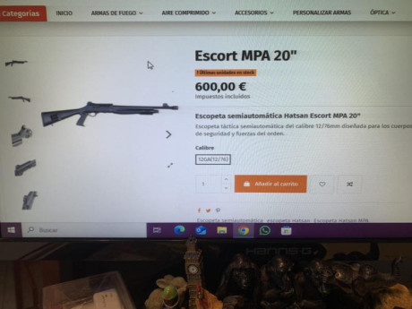 Buenas noches: vendo Escopeta de corredera, Hatsan Escort MP Soutgun P/A 20" y 51 cms. de caño,  60