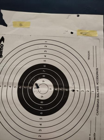 ¿Nos animamos a mostrar blancos de nuestros rifles de caza habituales? Con la munición que habitualmente 80
