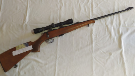 Vendo rifle BRNO, calibre 22, usado, funciona perfectamente, con cargador de 6 tiros, con su funda y visor.
Precio 00