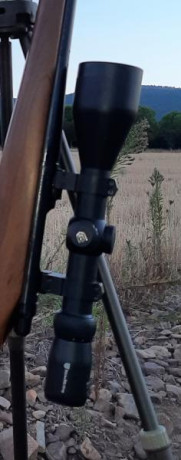 Nikko Stirling Diamond 3-12x56 en excelente estado de uso, montado en un 243 Winchester.

Anillas a elegir 00