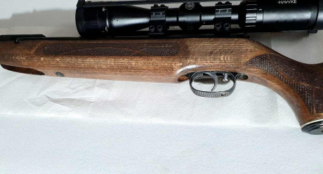 Aquí dejo esta 177 del año 2021. Renovada , precisa y muy llevadera.  Un rifle con premio Hard oro. Ahora 11