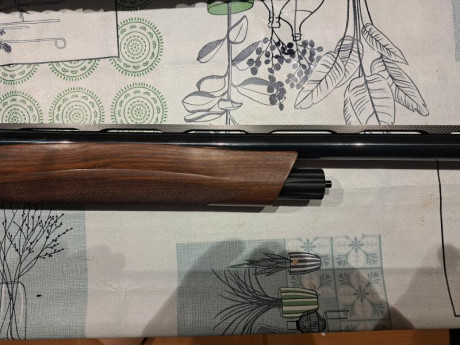 Se vende benelli Raffaello power bore. 
Bastante buen estado,  chokes de 70mm, cantonera antirretroceso. 22