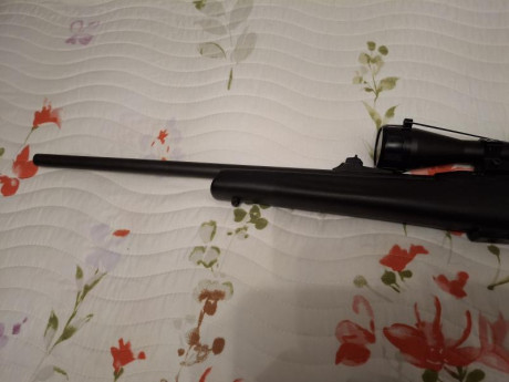 Se vende esta carabina Impecable remington 597 22 mg
450e se envía video y más detalles se entrega el 01