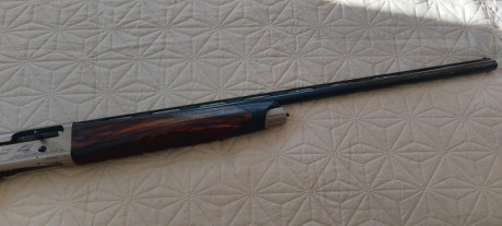 Escopeta semi automática Beretta Upland sin uso apenas, ya no voy a la menor y tengo más en el armero.
Solo 10