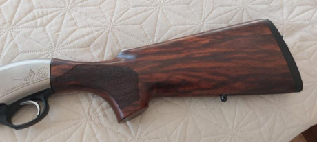 Escopeta semi automática Beretta Upland sin uso apenas, ya no voy a la menor y tengo más en el armero.
Solo 22
