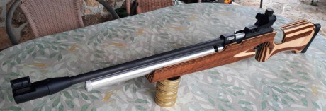 Vendo una carabina para tiro olímpico a 10 metros.
Steyr Match 91 antigua pero de alta calidad en muchos 01