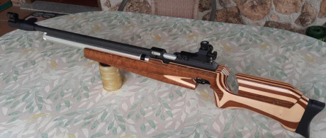 Vendo una carabina para tiro olímpico a 10 metros.
Steyr Match 91 antigua pero de alta calidad en muchos 00